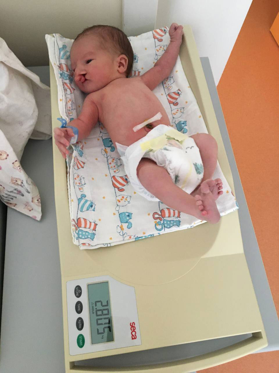 История Анны и Тимофея