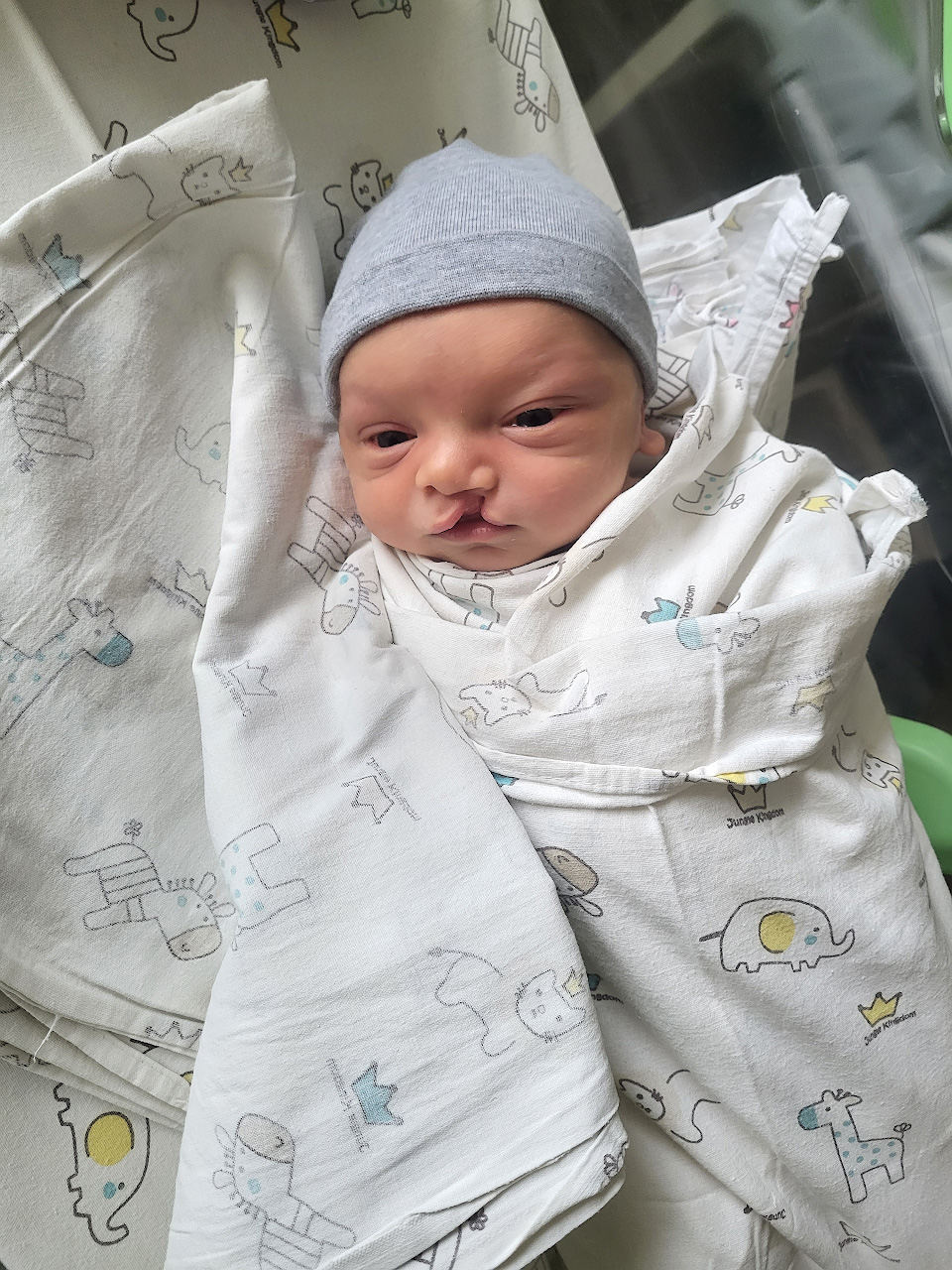 История Дарьи и Владимира