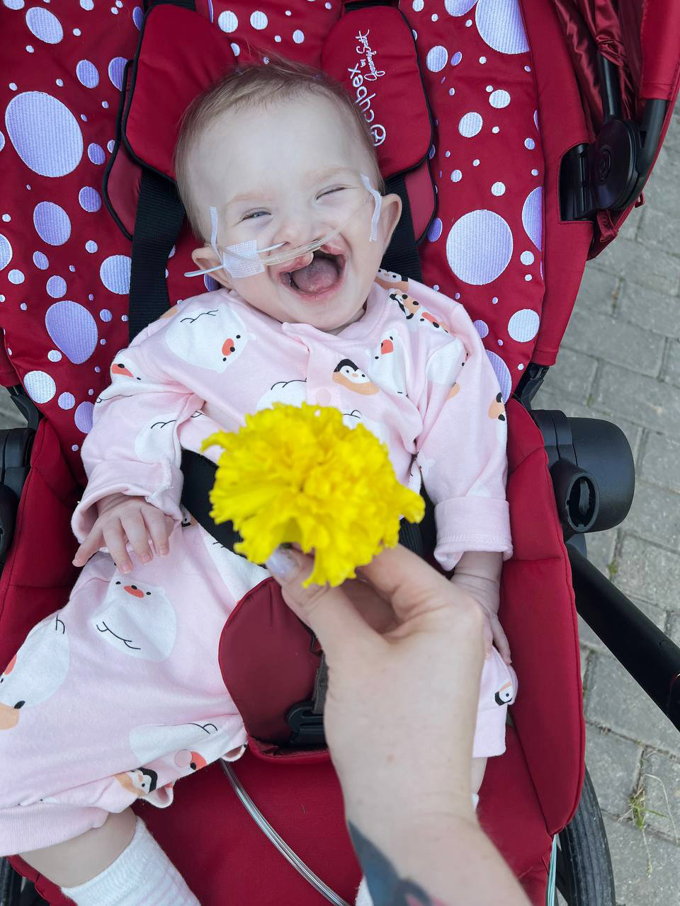 История Дианы и Иветты