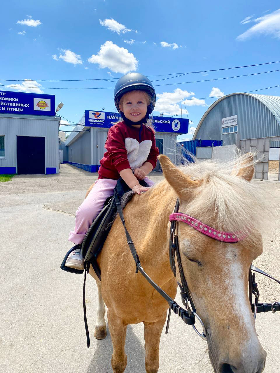 История Галины и Ксении