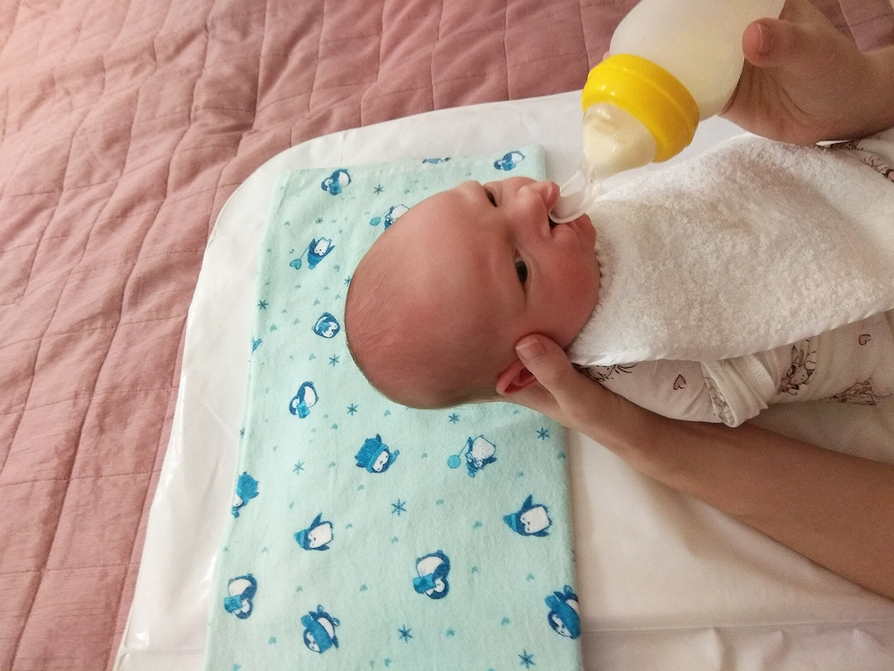 История Анны и Егора